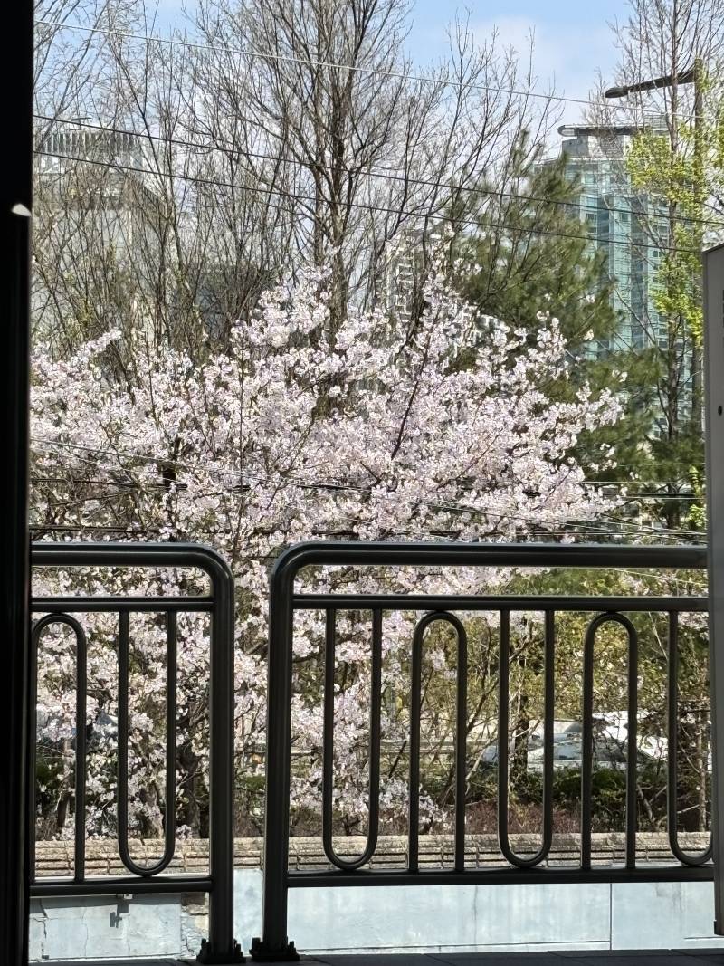 [잡담] 오늘 지하철 타고 가다가 문 열릴때 찍었어 | 인스티즈