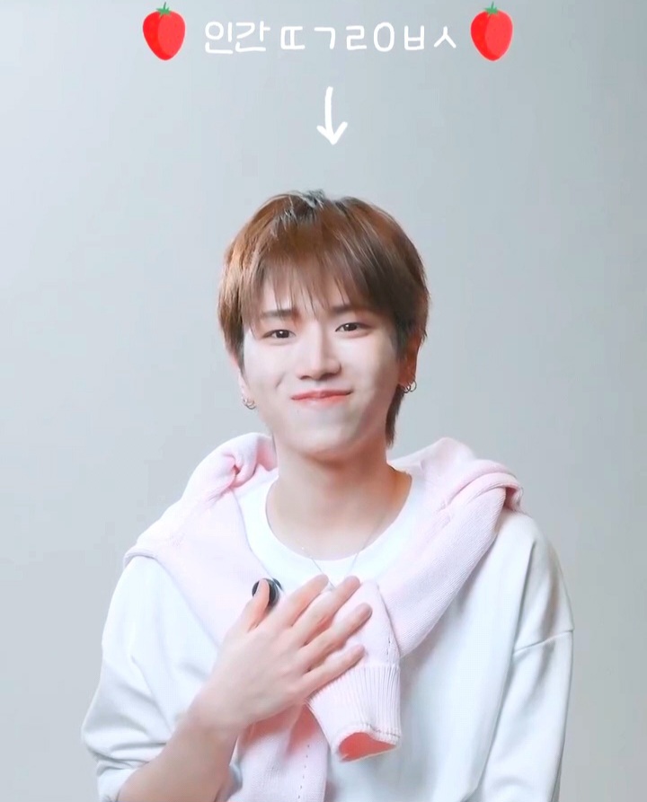 [잡담] 인간딸기루이보스ㅇㅈ | 인스티즈