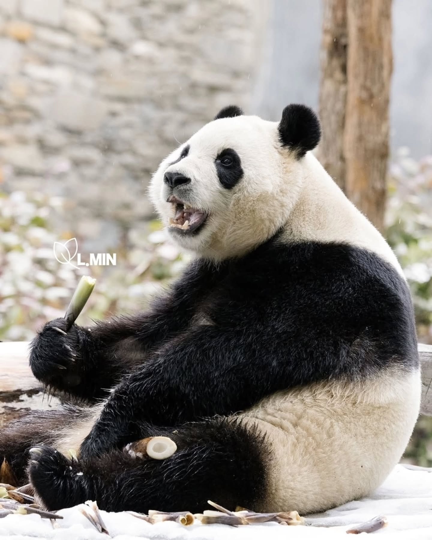 [잡담] 아웅 우리 뚠빵이 살찐 거봐 | 인스티즈