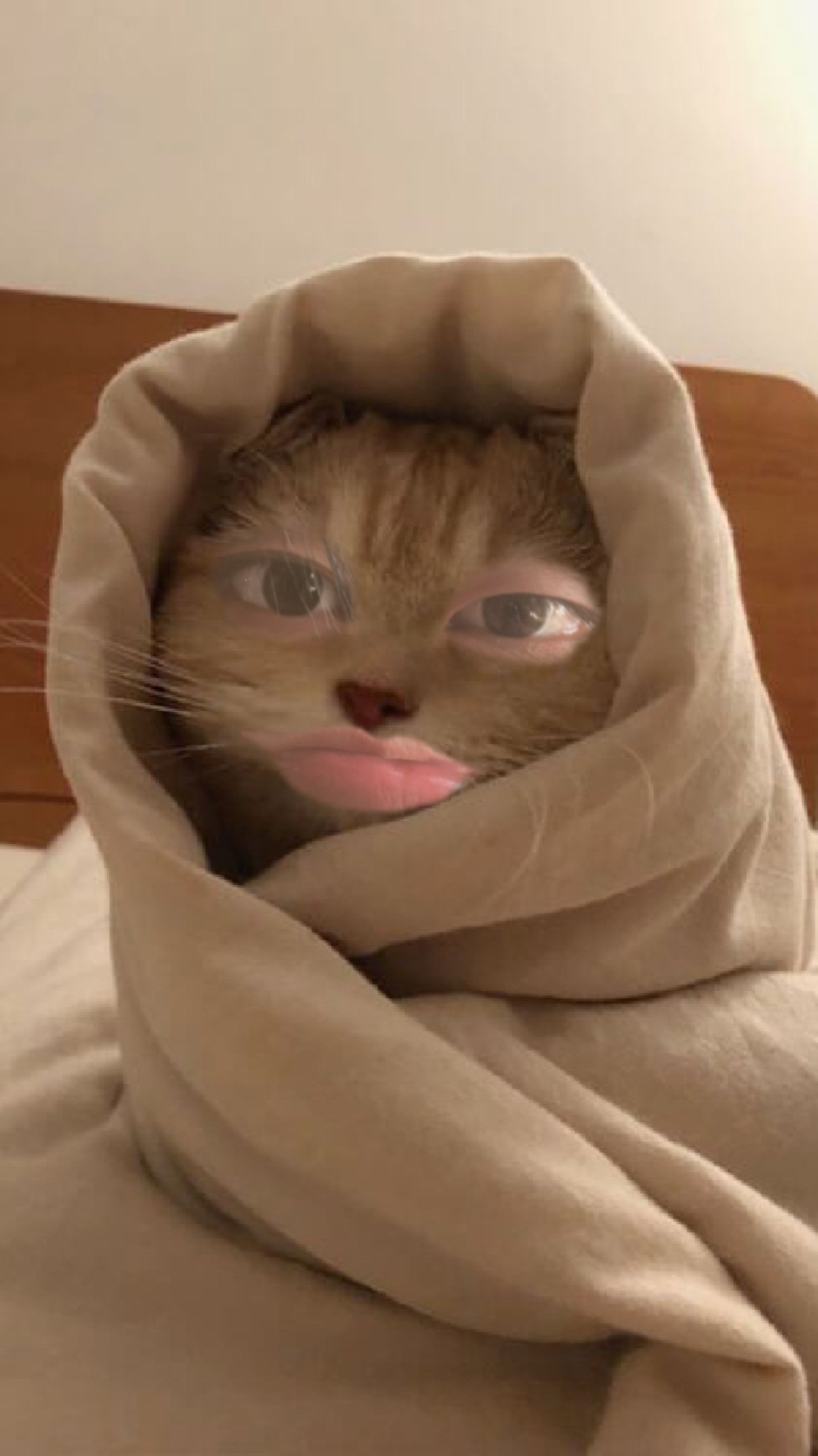 [잡담] 김지웅 | 인스티즈