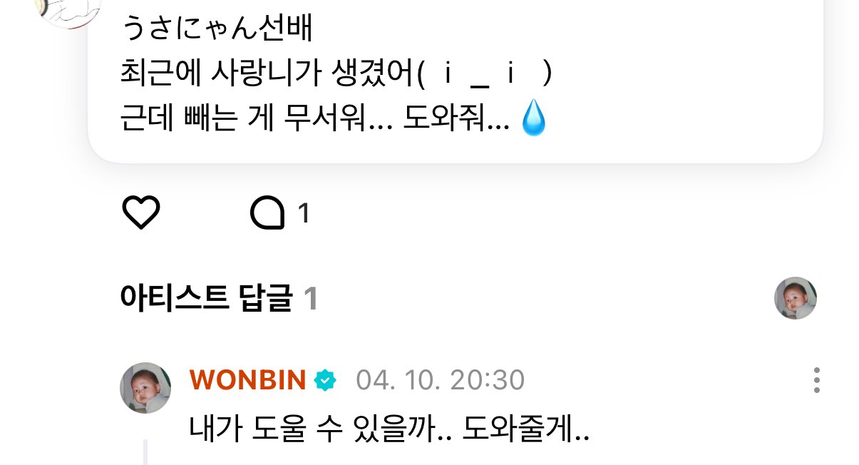 [잡담] 원빈이 사랑니 회피 아티스트 | 인스티즈