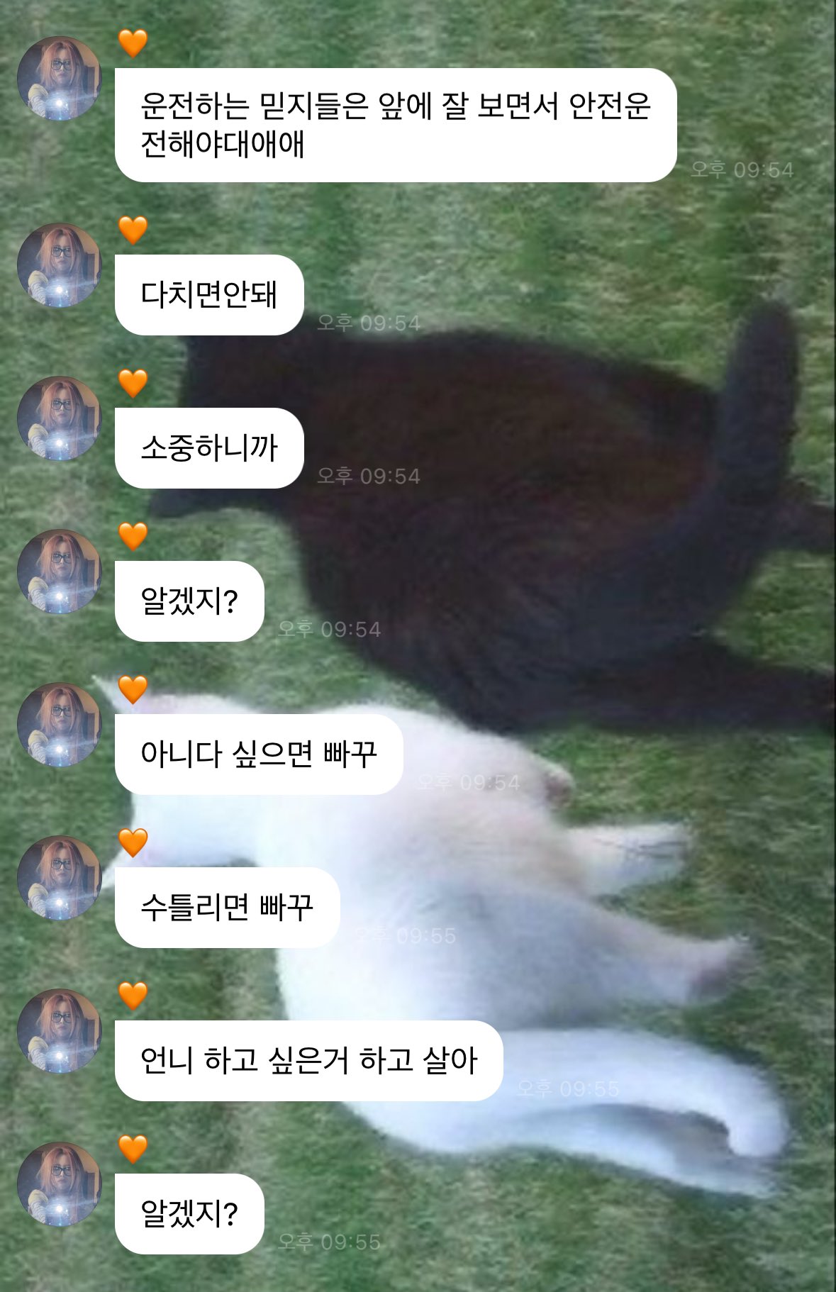 [잡담] 있지 유나 폭싹 관식이 대사ㅋㅋㅋㅋㅋㅋ | 인스티즈