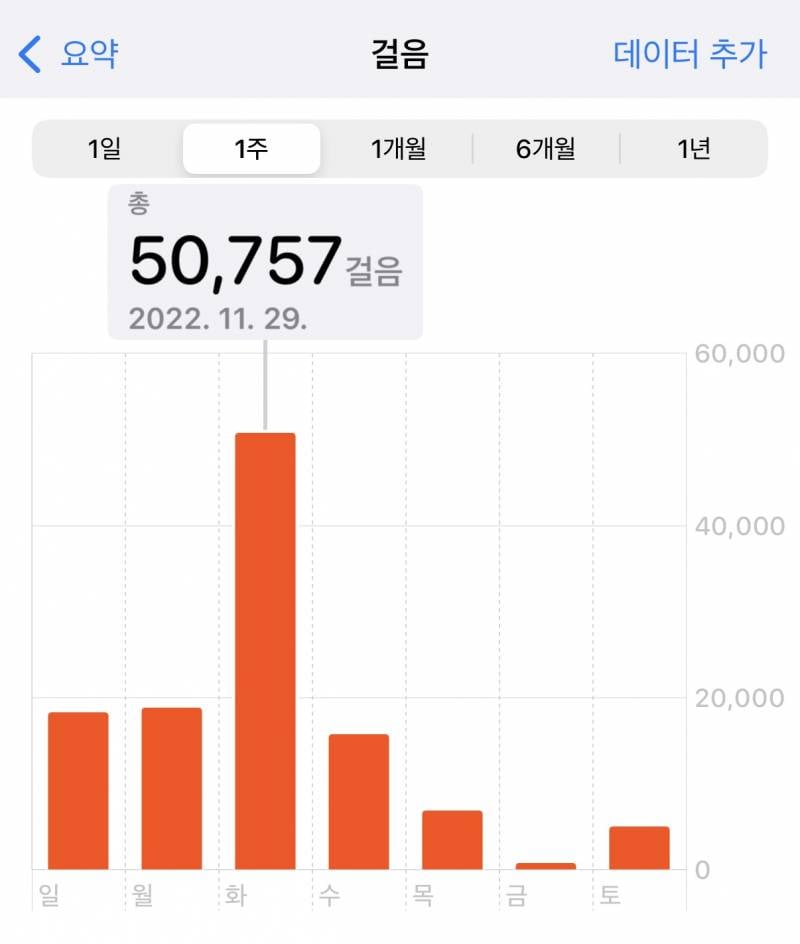 [잡담] 너네 사람이 하루에 오만보 걸을수있다고 보나 | 인스티즈