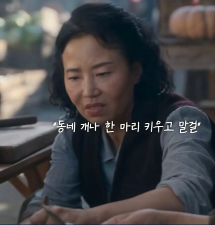 [잡담] 동네 개나 한마리 키우고 말걸 | 인스티즈