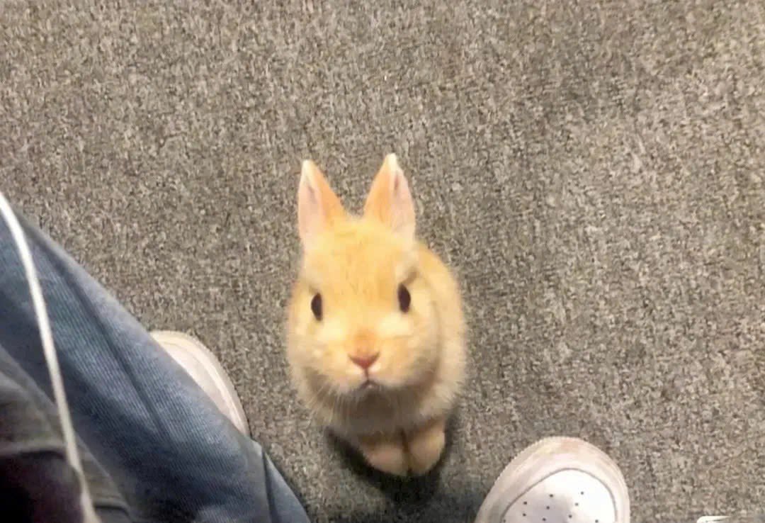 [잡담] 이거 도영이지? ㅎㅎ | 인스티즈