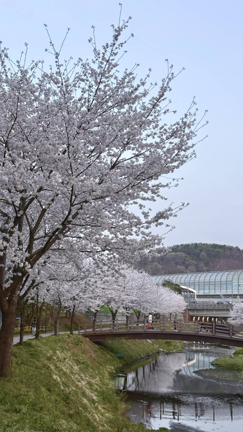 [잡담] 보정해 봤는데 어때? | 인스티즈