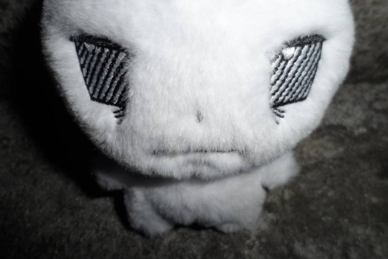 [잡담] 이 토끼 인형 풀네임이 뭐야? | 인스티즈
