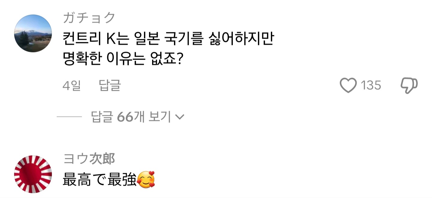 [잡담] 일본에서 ai로 만든거 같은데 한국과 중국에서 패션쇼하면 좋겠다고(욱일기) | 인스티즈