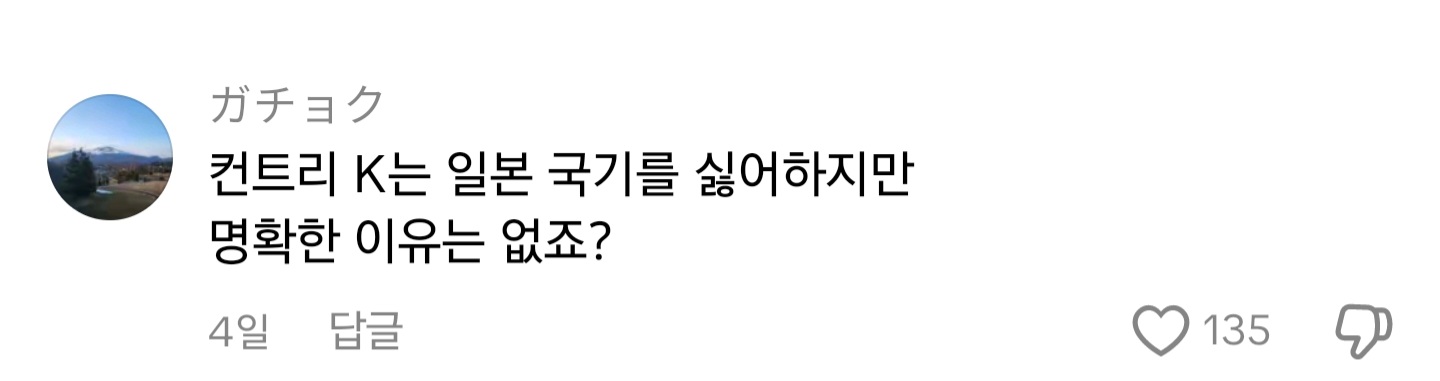 [잡담] 일본에서 ai로 만든거 같은데 한국과 중국에서 패션쇼하면 좋겠다고(욱일기) | 인스티즈