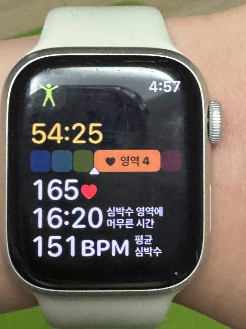 [잡담] 심박수영역 나오는거 넘 좋다ㅎㅎ | 인스티즈