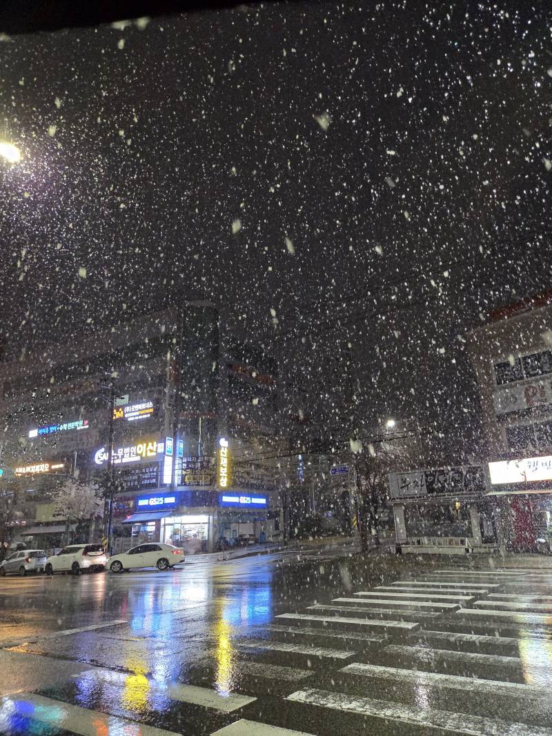[잡담] 얘들아.. 인천 눈와... | 인스티즈