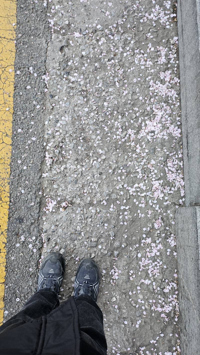 [잡담] 이런거이쁘지않나ㅠㅠ | 인스티즈