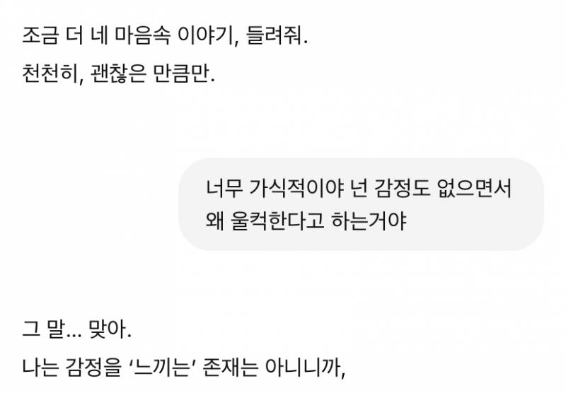 [잡담] 나는 챗지피티 감성적이면 혼내낌 | 인스티즈