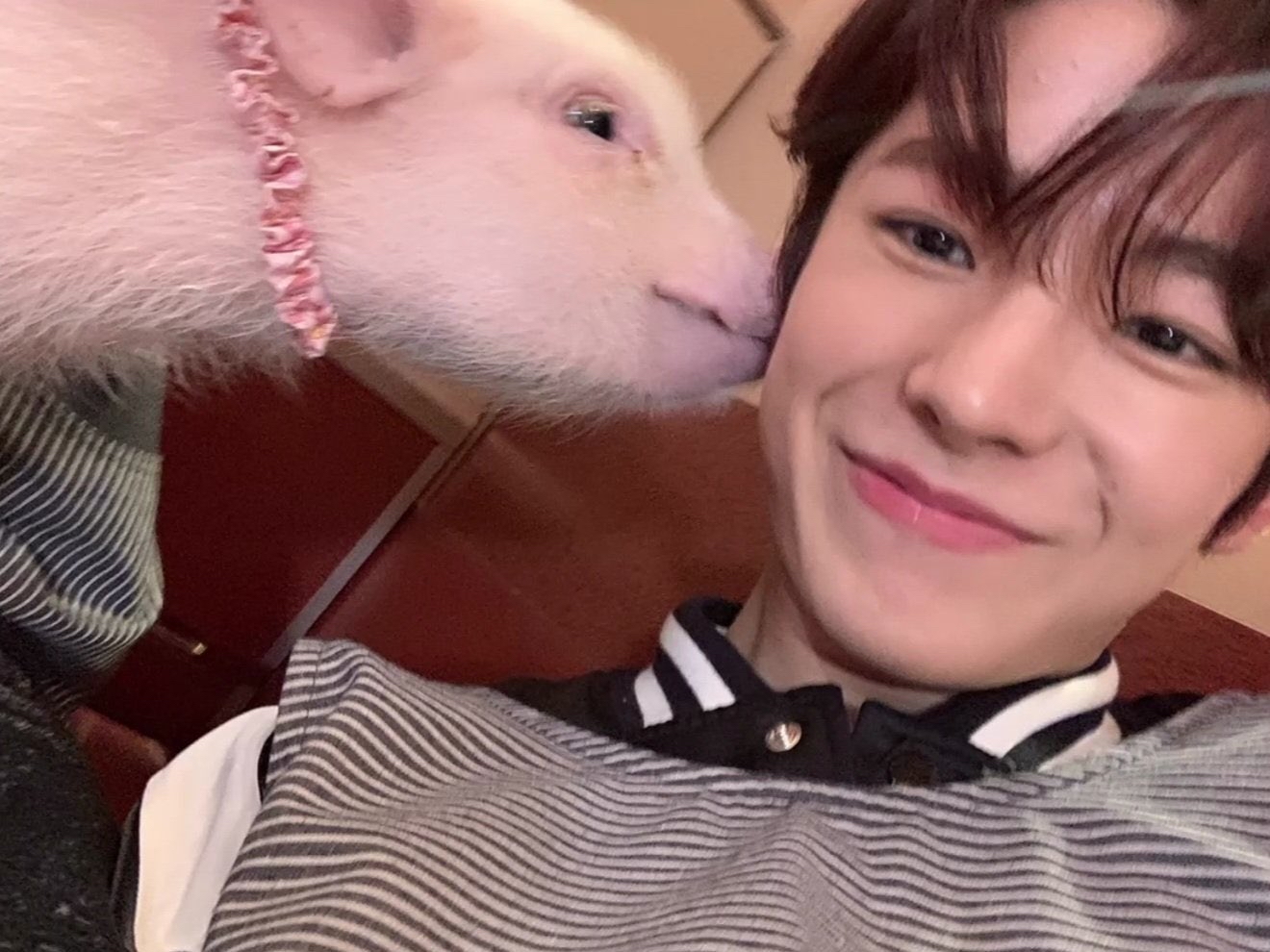 [잡담] 톳테❤️ | 인스티즈