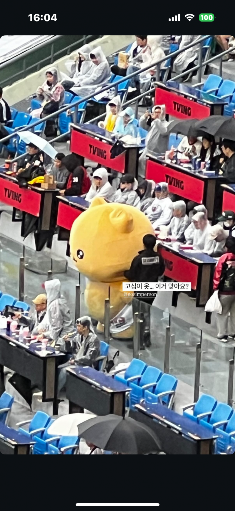 [잡담] 하 고심이 스토리 보는데 ... 🥵 | 인스티즈