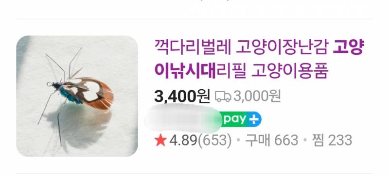 [잡담] 야옹이 주인님들아 고양이는 원래 이런 거 좋아해? (벌레주의) | 인스티즈
