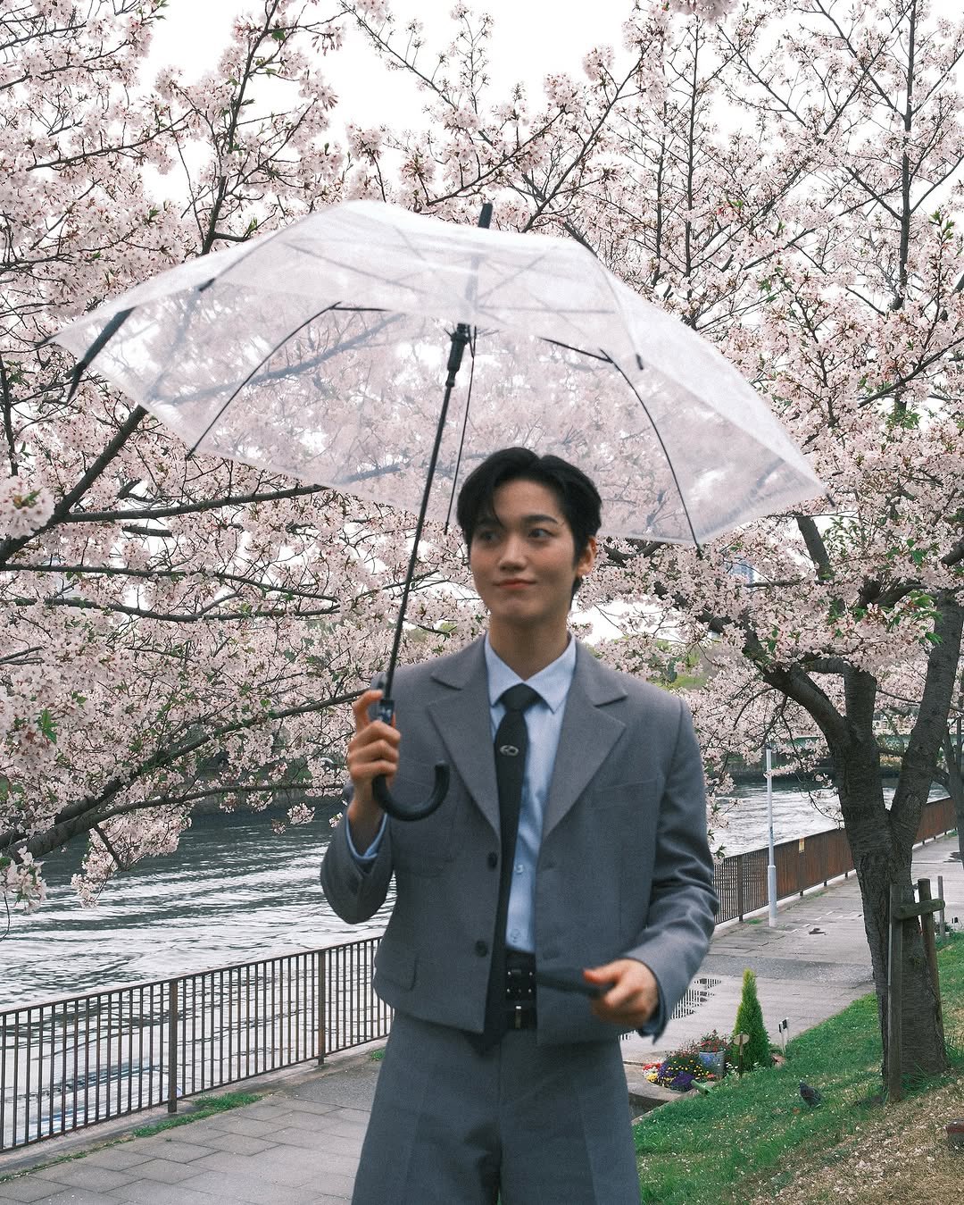 [잡담] 온앤오프 꽃놀이 했나봐 🌸🌸🌸🌸 | 인스티즈