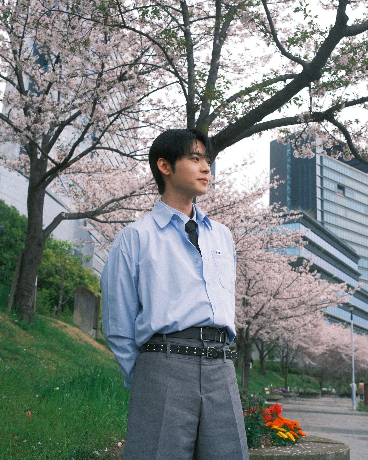 [잡담] 온앤오프 꽃놀이 했나봐 🌸🌸🌸🌸 | 인스티즈