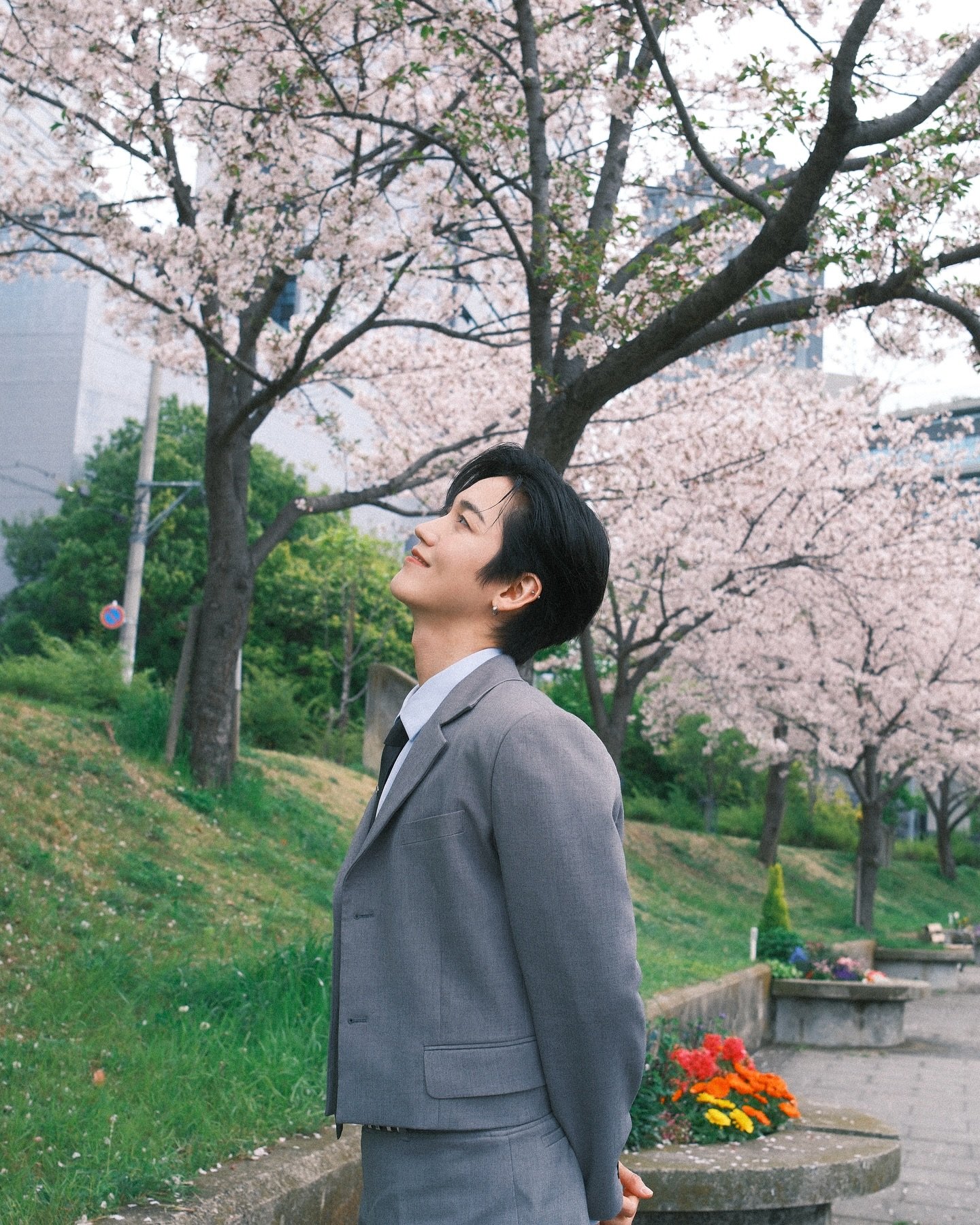 [잡담] 온앤오프 꽃놀이 했나봐 🌸🌸🌸🌸 | 인스티즈