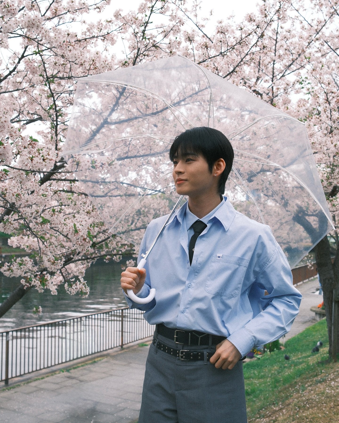 [잡담] 온앤오프 꽃놀이 했나봐 🌸🌸🌸🌸 | 인스티즈