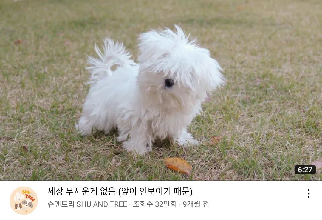 [잡담] 제노 이거 그거네.. 세상 무서운게 없음 | 인스티즈