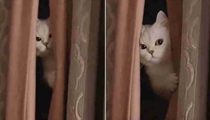 [잡담] 원빈이 천막에서 빼꼼 구경하는거 귀욤 ㅋㅋㅋㅋㅋ | 인스티즈