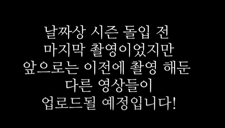[잡담] 문현준 열일했구먼 | 인스티즈