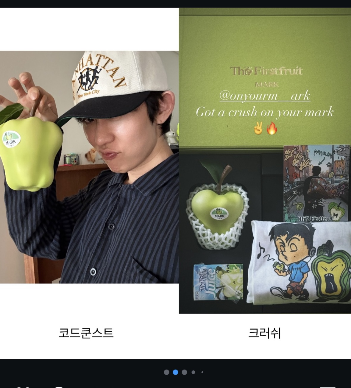 [잡담] 마크 열매 뭐야?? | 인스티즈
