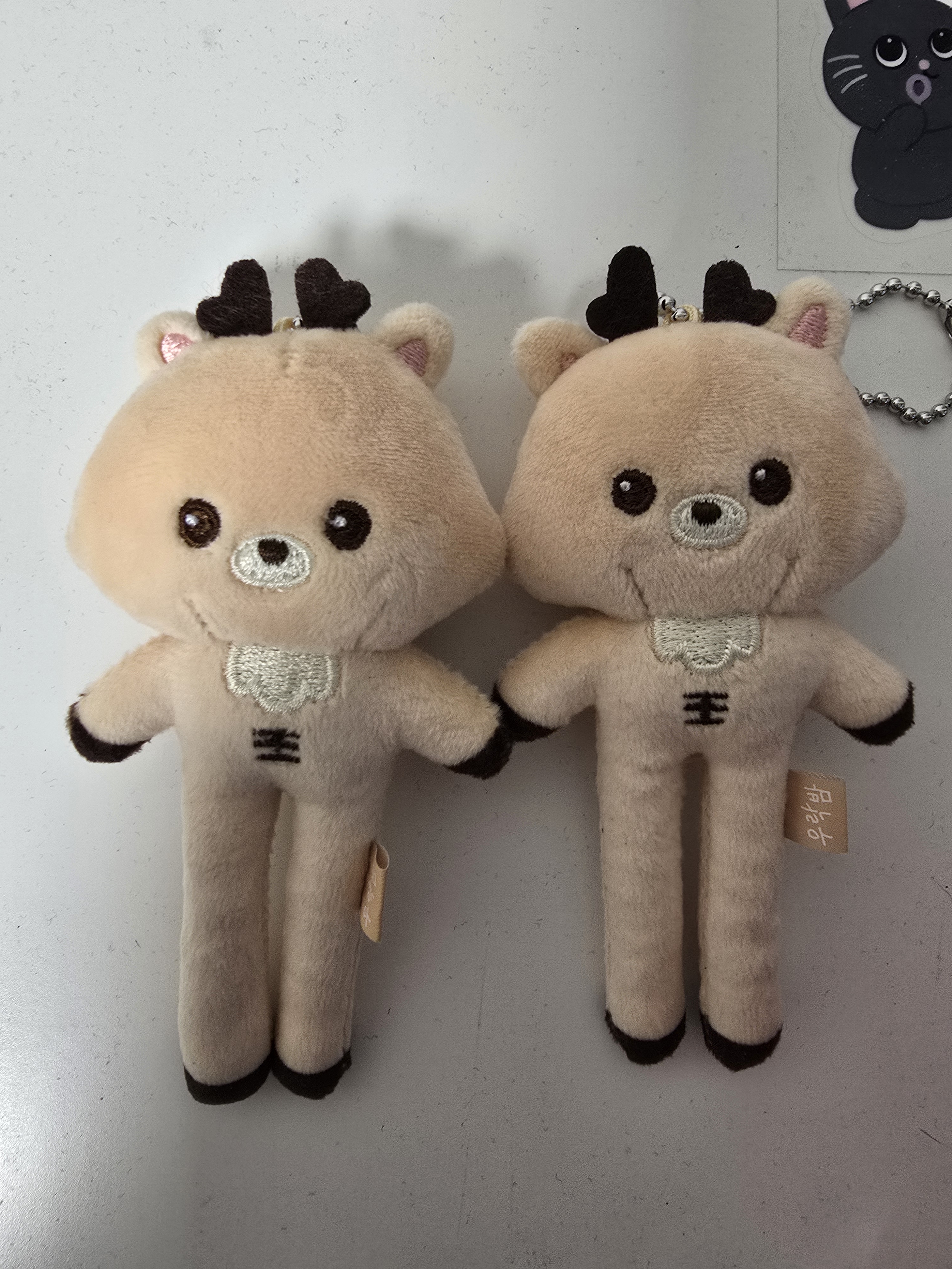 [잡담] 타팬 눈이 정확하려나 이거 뭐가 더 이뻐? | 인스티즈