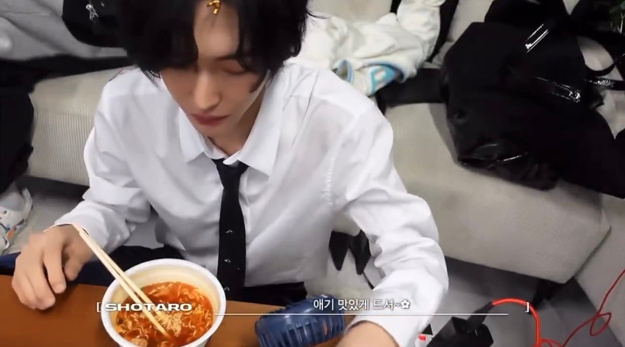 [잡담] 원빈이 타로랑 있을 때 유독 아깽이 같은거ㅋㅋㅋ | 인스티즈