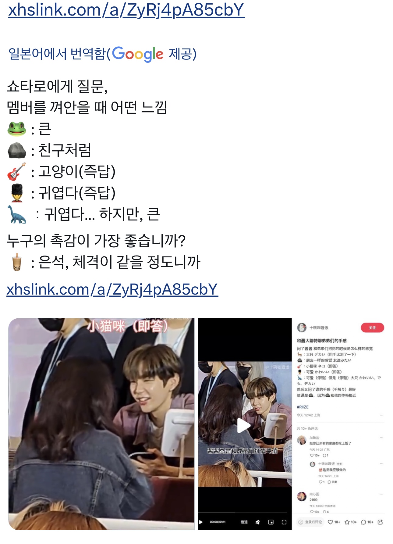 [잡담] 원빈이 타로랑 있을 때 유독 아깽이 같은거ㅋㅋㅋ | 인스티즈