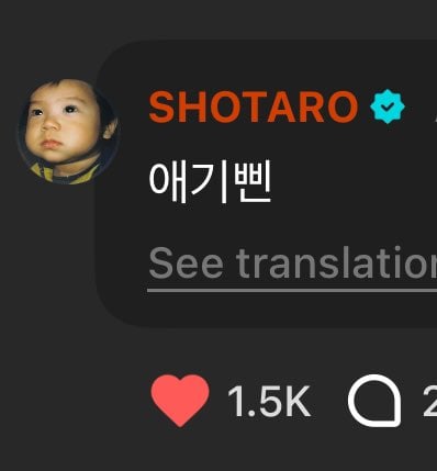 [잡담] 원빈이 타로랑 있을 때 유독 아깽이 같은거ㅋㅋㅋ | 인스티즈