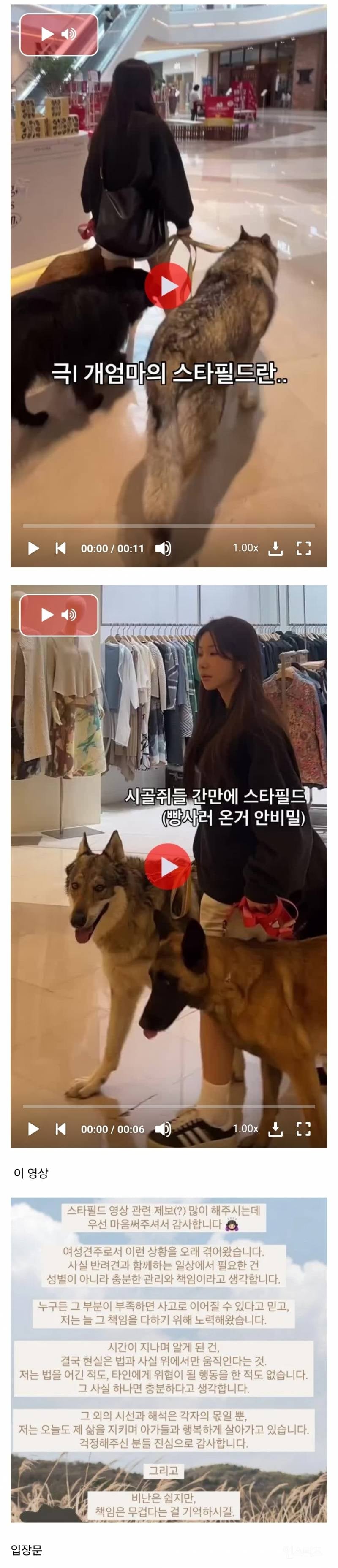 인스타에서 난리난 늑대개 입마개.jpg | 인스티즈