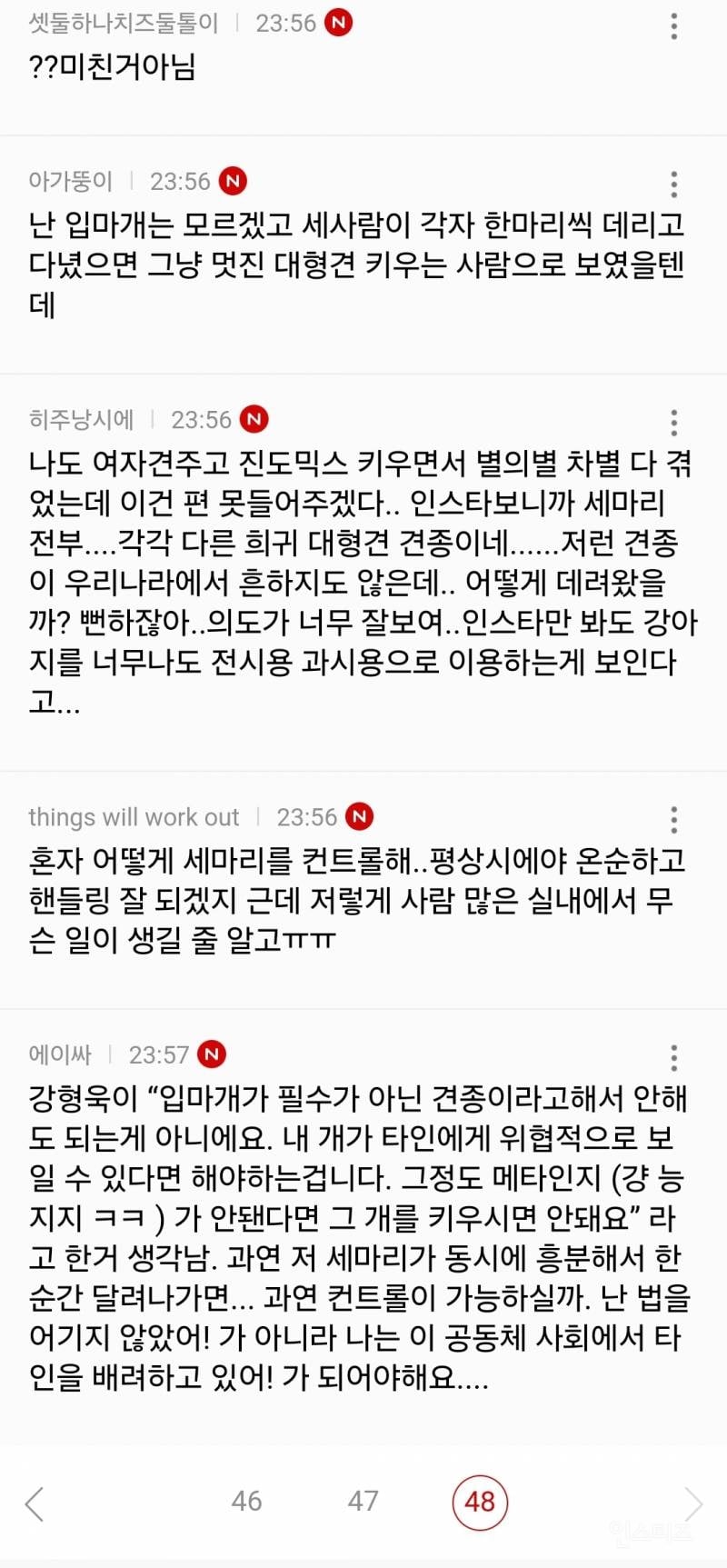인스타에서 난리난 늑대개 입마개.jpg | 인스티즈