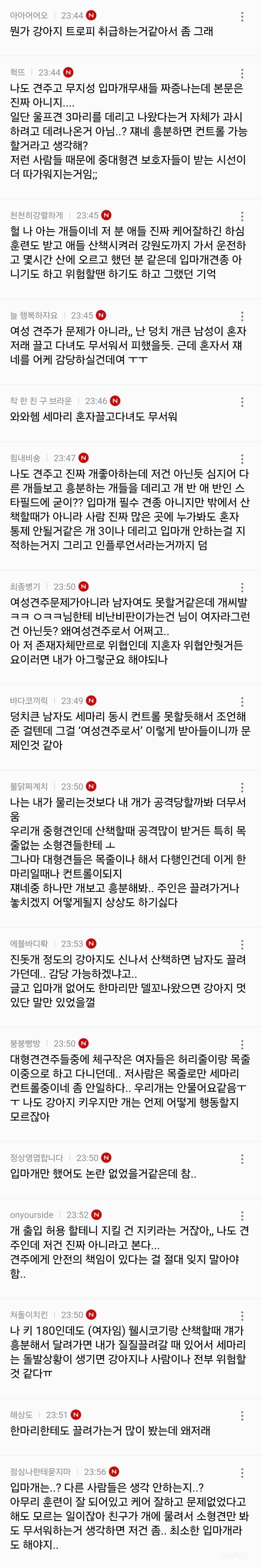 인스타에서 난리난 늑대개 입마개.jpg | 인스티즈