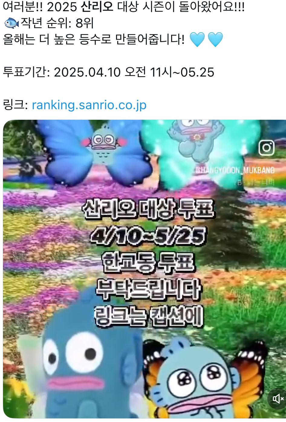 [마플] 한교동 그냥 교프들이 총공 한거네ㅋㅋ | 인스티즈