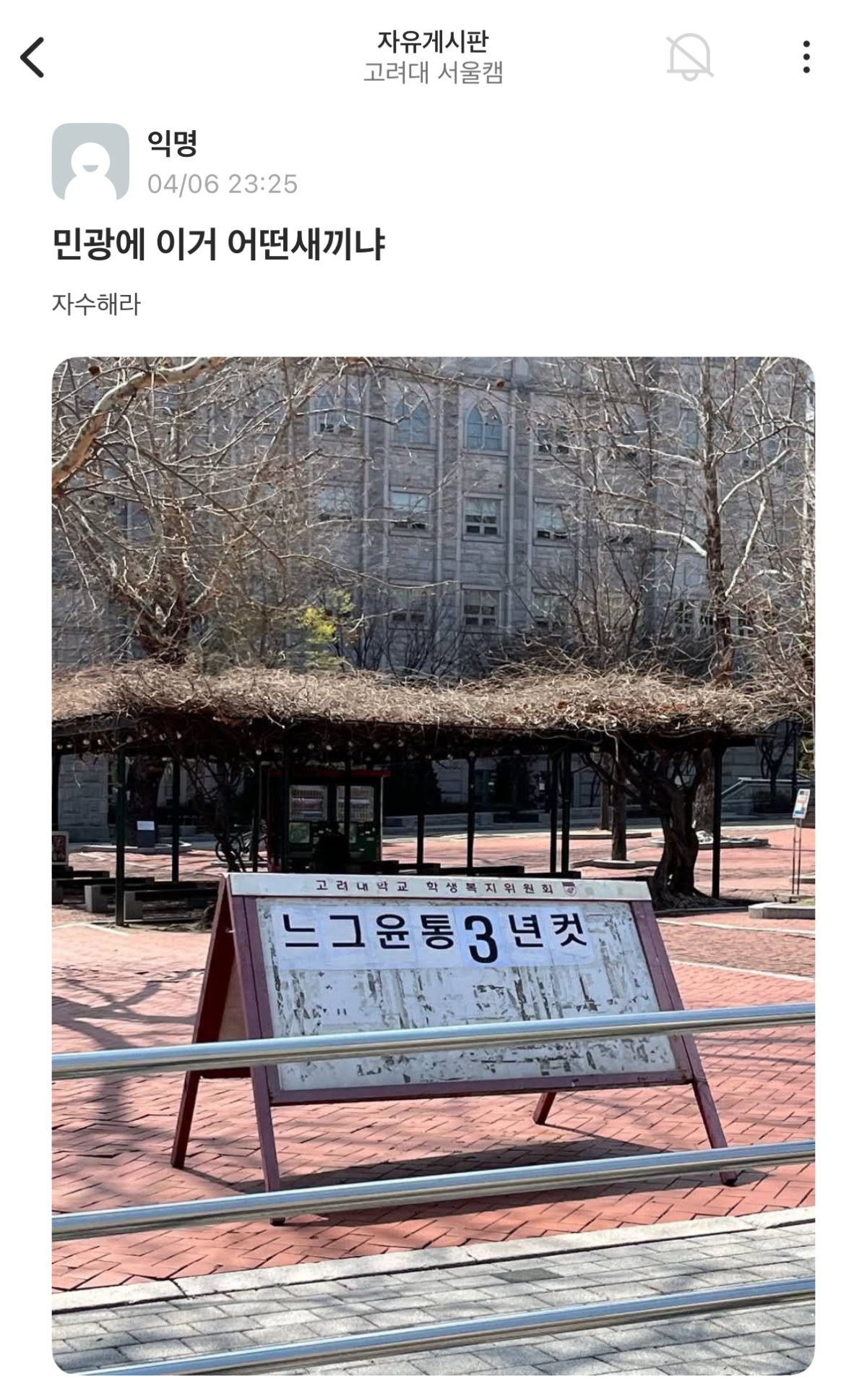 [잡담] 봄이 온 고려대 근황 | 인스티즈