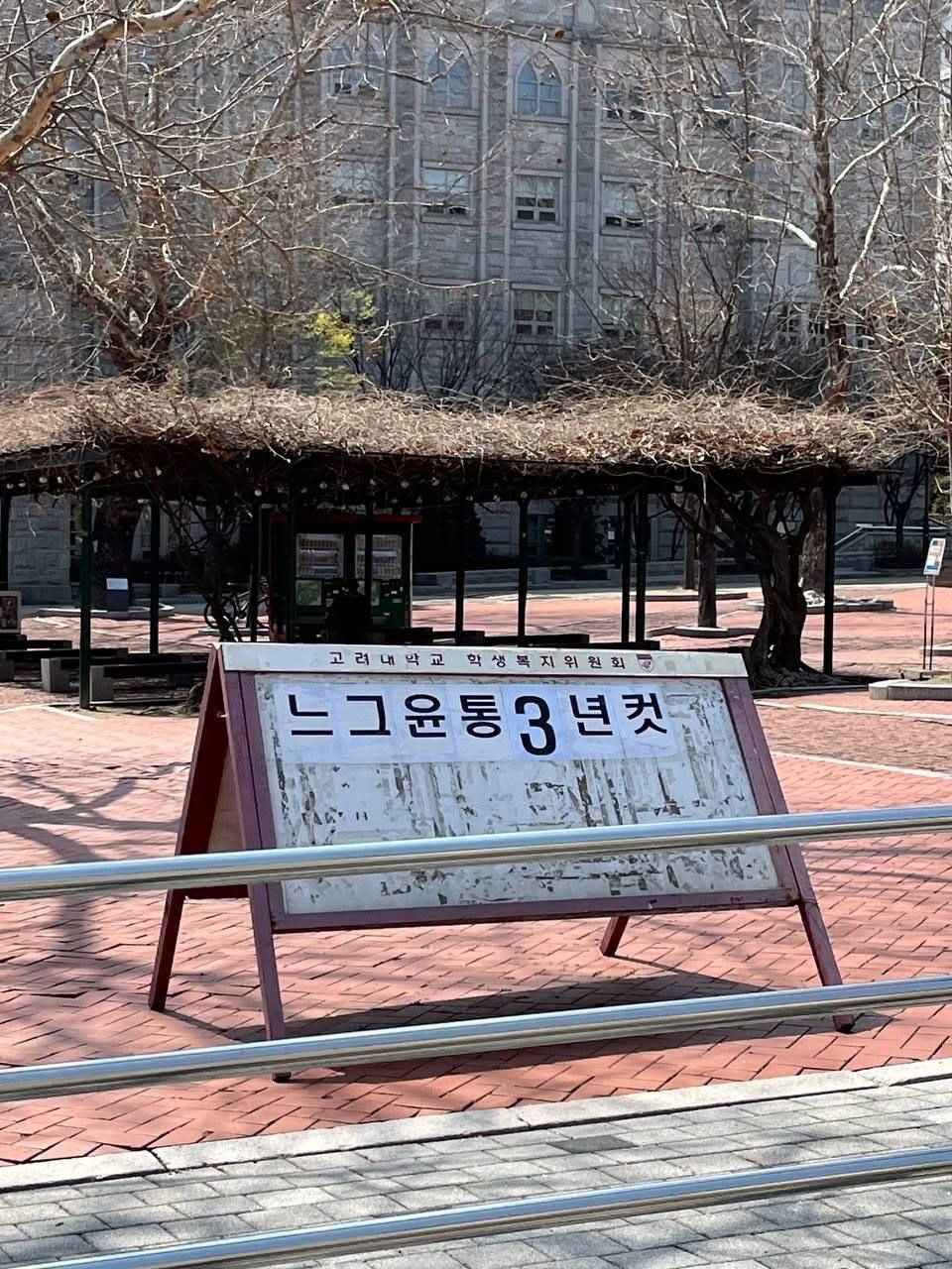 [잡담] 봄이 온 고려대 근황 | 인스티즈