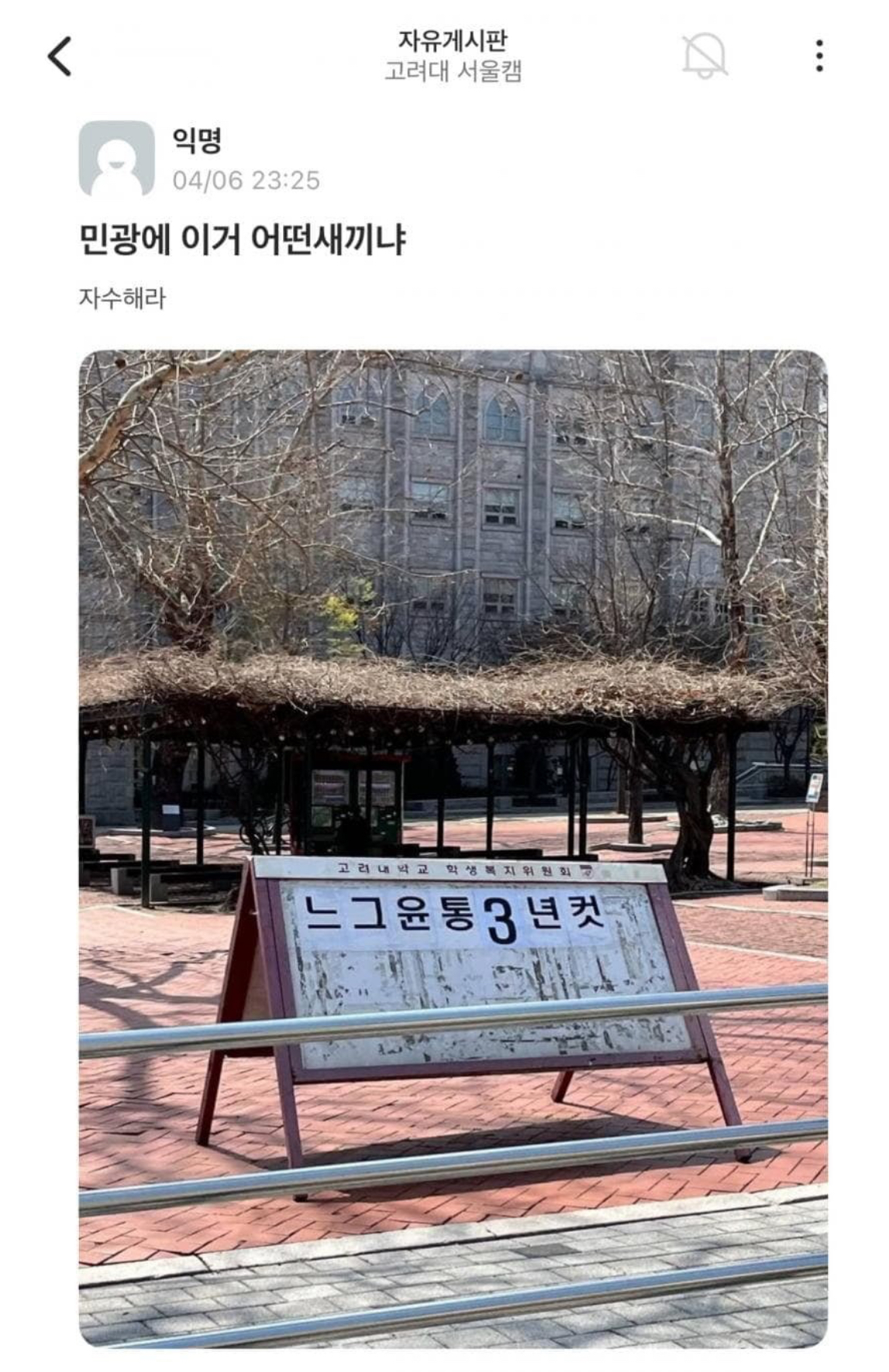 [정보/소식] 고려대 민주광장 앞 정치 중립 의무 위반 논란 | 인스티즈