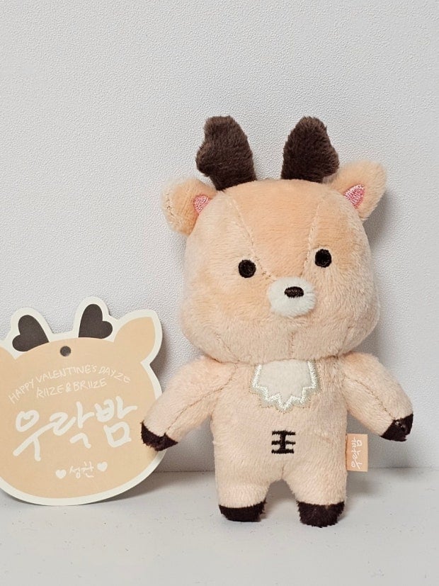 [잡담] 근데 라이즈 우락밤 1기 안광없어서 이득인게 헬스하는 오빠혈육이 | 인스티즈