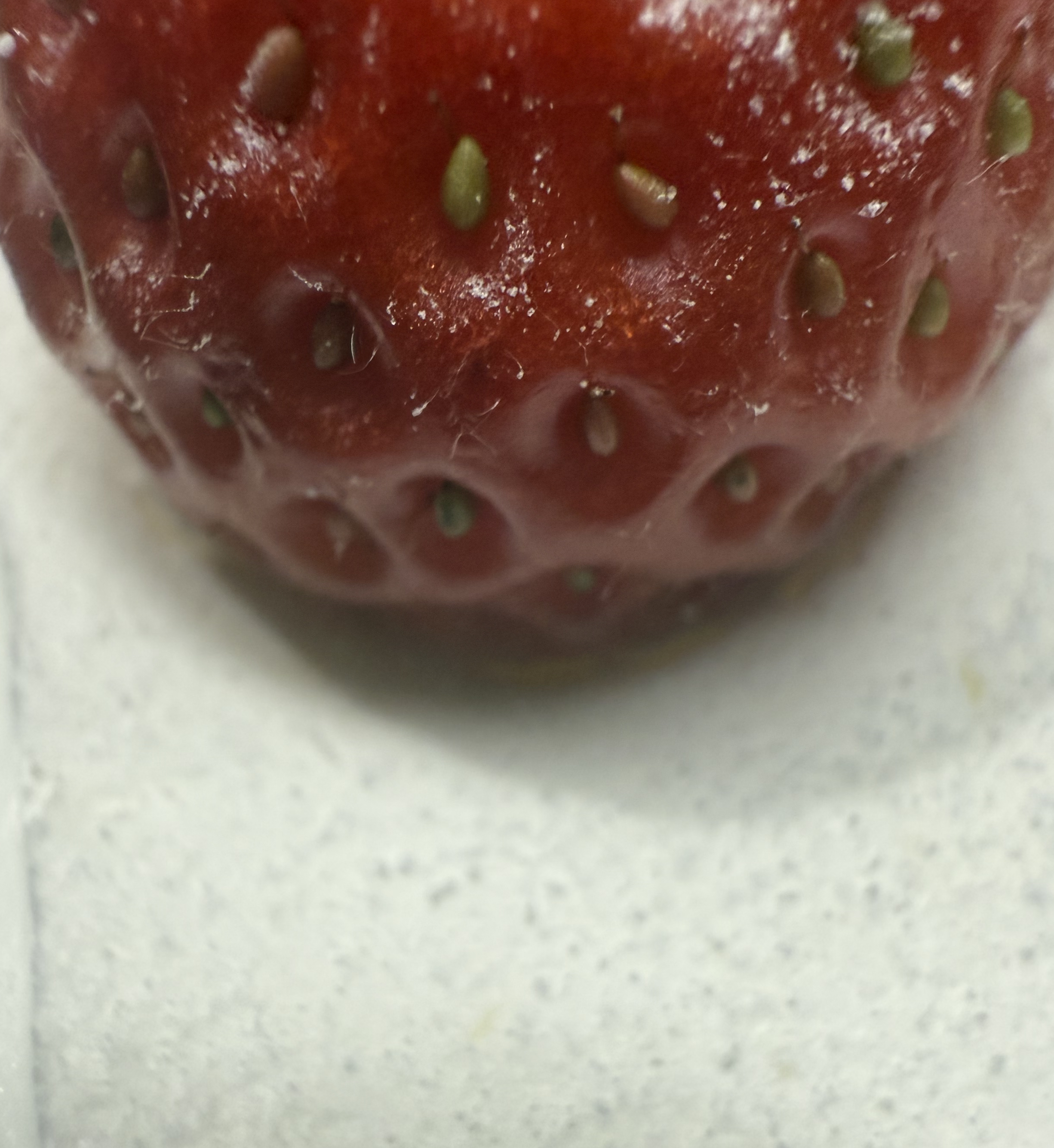 [잡담] 위시가 의외로 재능이 없는 부문 | 인스티즈