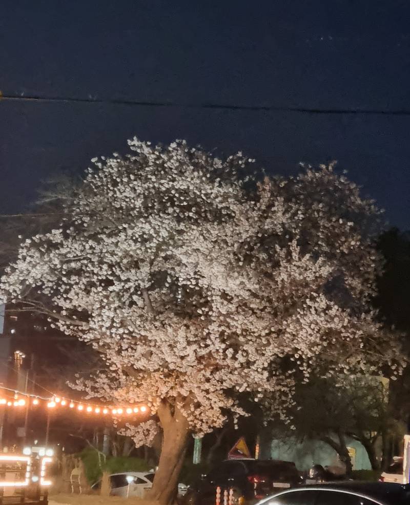 [잡담] 히키익 방금 런닝하고온 후기 | 인스티즈