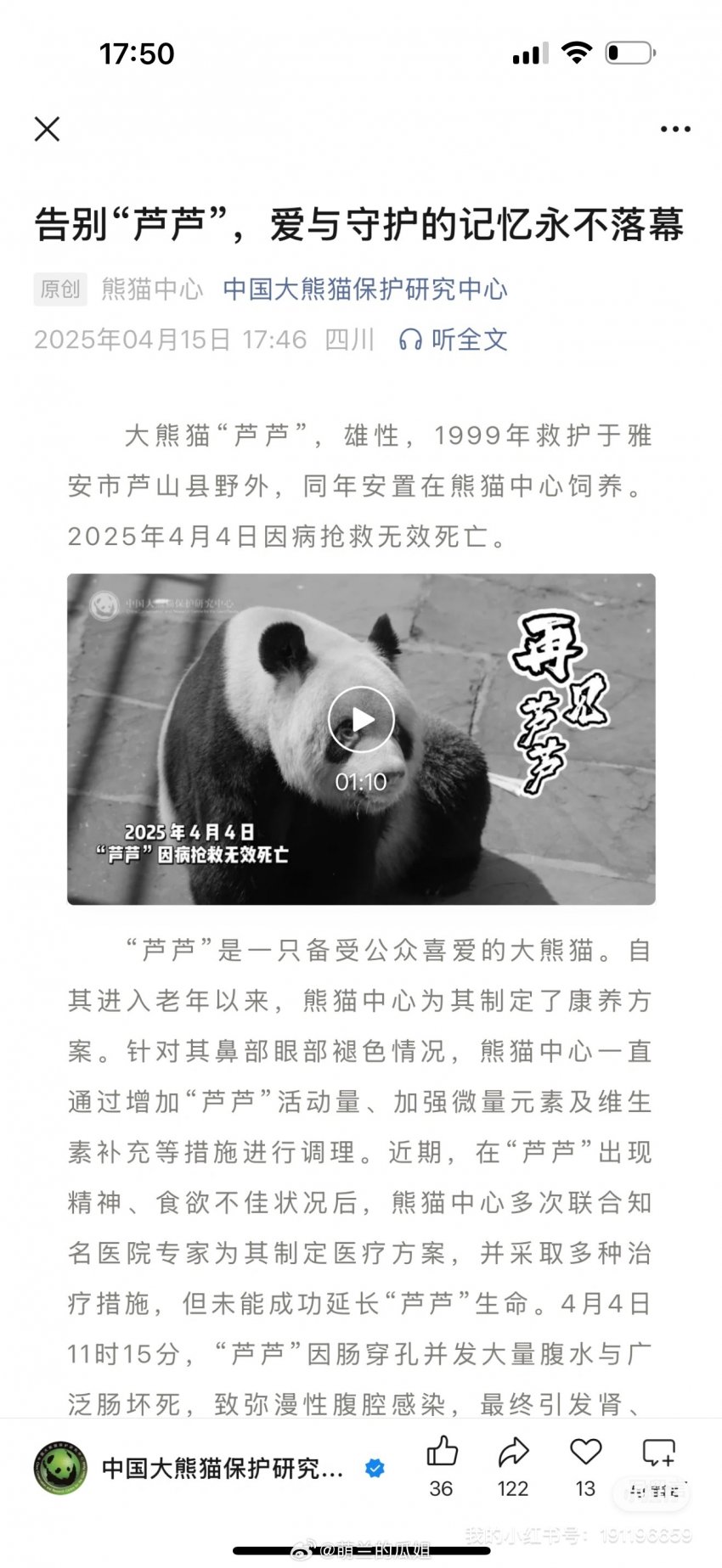 [정보/소식] 아이바오 아빠 루루🐼가 4월 4일 판다별로 떠났다고 함 | 인스티즈