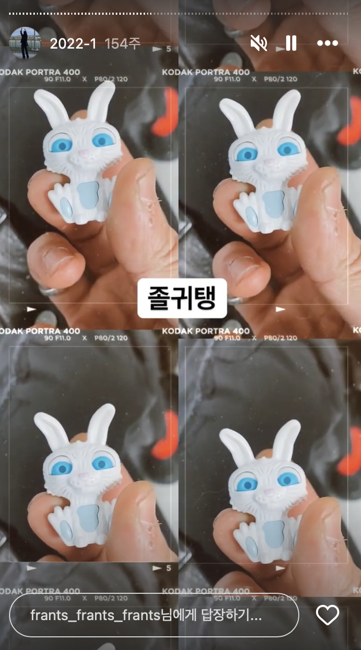 [마플] 이 토끼도 귀엽다고 하는거 보면 토끼에 콩깍지가 심하게 끼신 거 같은데 | 인스티즈