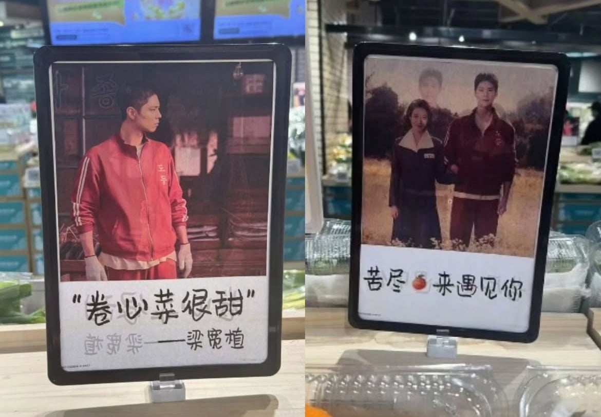 [정보/소식] '폭싹' 박보검·아이유, 중국서 초상권 불법 도용…서경덕 일갈 [TEN이슈] | 인스티즈