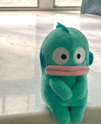 [잡담] 한교동을 사랑해 주세요 | 인스티즈
