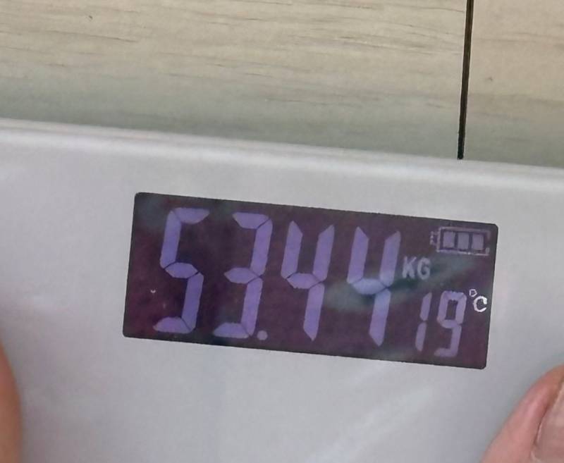 [잡담] 뭐든 적당히 먹으면 살 안찜..ㅋㅋ 3,4개월만에 10kg 넘게 빼봄 | 인스티즈