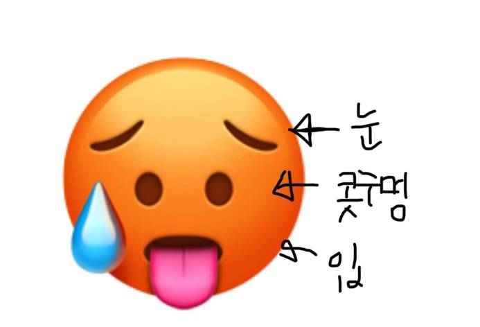 [잡담] 🥵<- 이거 눈 코 입 아니냐는 뻘소리 듣고나서부터 그렇게 보임 | 인스티즈