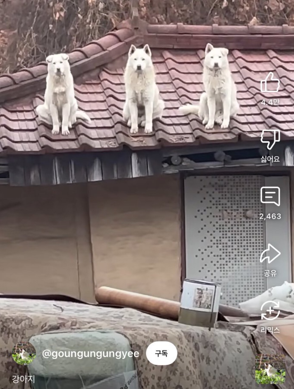 [잡담] 라이즈 입국 사진 언제 뜰 거 같음??? | 인스티즈