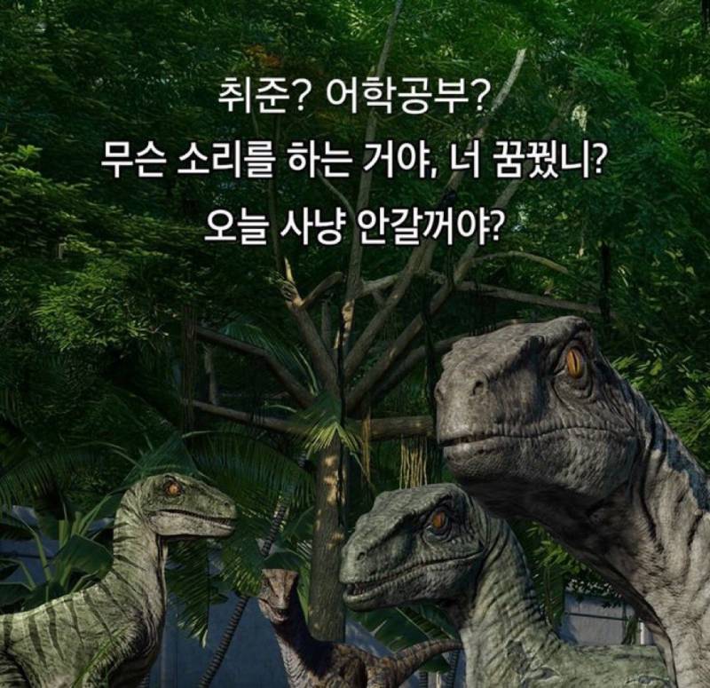 [잡담] 다들 티라노 연락 받았어? | 인스티즈